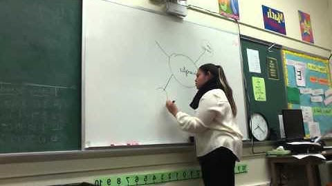 Semantic Map Video