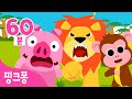 핑크퐁 동물 동요 60분 특집★ㅣ+모음집ㅣ농장 동물, 정글 동물, 바다동물 모두 모여라!ㅣ인기동요 연속듣기ㅣ아기상어, 농장 동물 댄스, 몽키바나나 등ㅣ핑크퐁! 인기동요