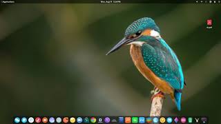 15 important things to do after installing Elementary OS screenshot 1