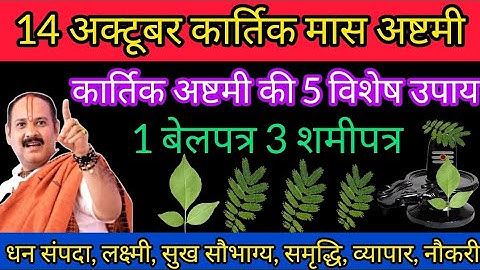 14 अक्टूबर कार्तिक मास अष्टमी को 1 बेलपत्र 3 शमी पत्र का चमत्कारिक उपाय #shiv #ashtami