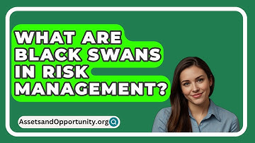 What Are Black Swans In Risk Management? - AssetsandOpportunity.org
