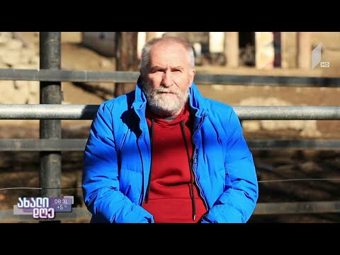 #ახალიდღე საინტერესო ფაქტები ცხოველთა სამყაროს შესახებ