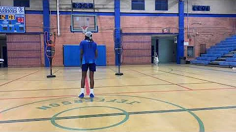 DANISHA SHAW WNBA PROSPECT AND 5 YEAR INTERNATIONA...
