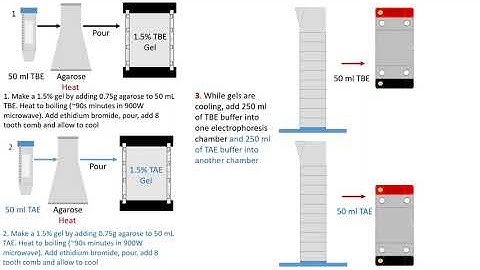 Lab 8 buffer type comparison video