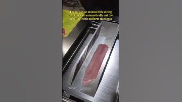 Fully Automatic Fish Filleting Machine SY-181 Teemyeah Machinery