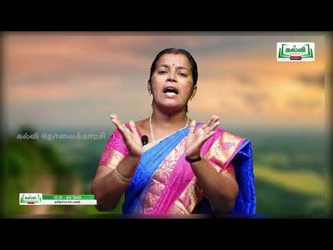 Class10 | வகுப்பு 10 | தமிழ்  | தமிழ் சொல் வளம் | இயல் 1 |  பகுதி 4 | Kalvi Tv..