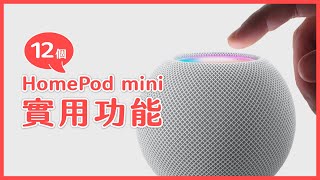 HomePod mini 只播音樂太可惜了！這 12 個功能太實用了 😉｜塔科女子