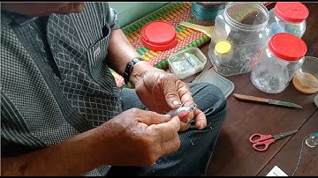 Cách làm mồi câu mực đất đẹp mắt