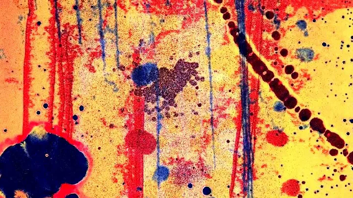 Michael McCabe, Monotype Prints