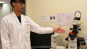 How to Operate a Confocal Microscopy