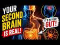 Your Stomach Might Be Smarter Than Your Brain|Your Second Brain Is Controlling You…#SecondBrain