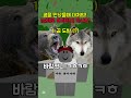유기사님의 생존법!! (유기사님 팬영상) #유기사