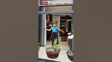 Cửa lưới chống muỗi ngăn côn trùng, lấy gió tự nhiên #cualuoiquangminh #cửa_lưới_chống_muỗi