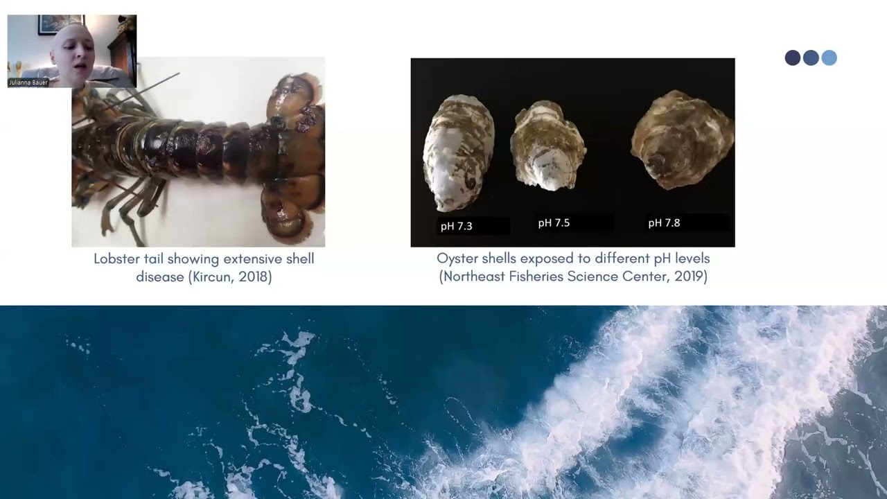 Julianna Bauer | Ocean Acidification and its Impacts to Shellfish Populations