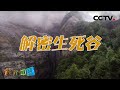 解密生死谷 20200913 |《地理·中国》CCTV科教