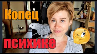 Вся правда про Жако//Я выпустила Розу//Гемор за такИе деньжищи