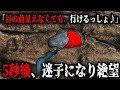 絶望!目の前が見えない洞窟に挑戦したダイバー。5秒後、迷子になった末路・・・【ピケタ洞窟の遭難事故】【ゆっくり解説】