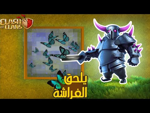 البيكا يلحق الفراشة في كلاش اوف كلانس 