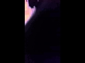 ٢١ مارس ٢٠١٦ 
