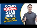 #09 Como Programar Sua Mente Para Ver Oportunidades | 25 Princípios do Sucesso | Polozi Coaching