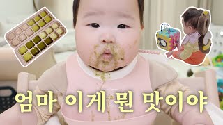 Parenting VlogㅣPerfect adaptation to baby foodㅣRice Mieum • Cabbage Mieum • Zucchini Mieum