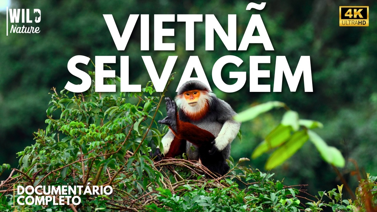 VIETNÃ SELVAGEM – Um Império de Instinto e Sobrevivência | Documentário Animal