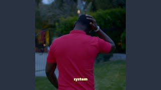 system (demo)