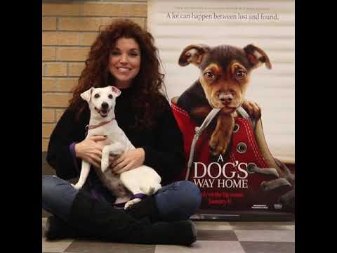 ADOPT, DON'T SHOP