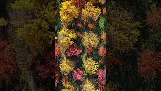 Jolfas Thousand-Color And Amazing Autumn, East Azerbaijan