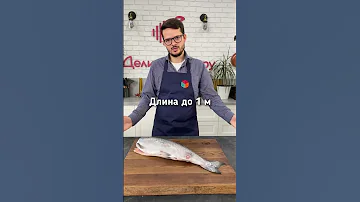 Чавыча. Что за рыба? Интересные факты о диком лососе. Деликатеска.ру