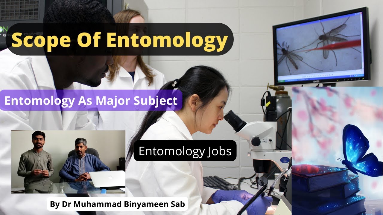 Scope Of Entomology Major Entomology Jobs of Entomology YouTube