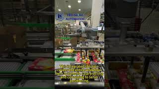 Cobot Case Packing System for Ice Cream | Turn-key Automation by TEC-SAILING
