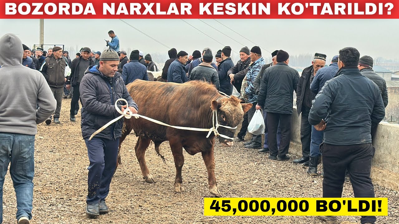 АНА ХОЛОС БОЗОРДА НАРХЛАР КЕСКИН КУТАРИЛДИ? 😱 ШОХИДОН МОЛ БОЗОРИ 2026
