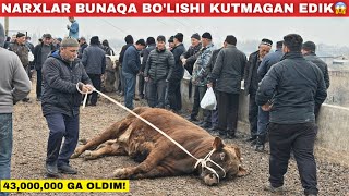 АНА ХОЛОС БОЗОРДА НАРХЛАР КЕСКИН КУТАРИЛДИ? 😱 ШОХИДОН МОЛ БОЗОРИ 2026