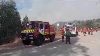 Incêndios Torres do Mondego