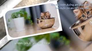 [Lyric   Vietsub] Can't take my eyes off you - Walk Off The Earth