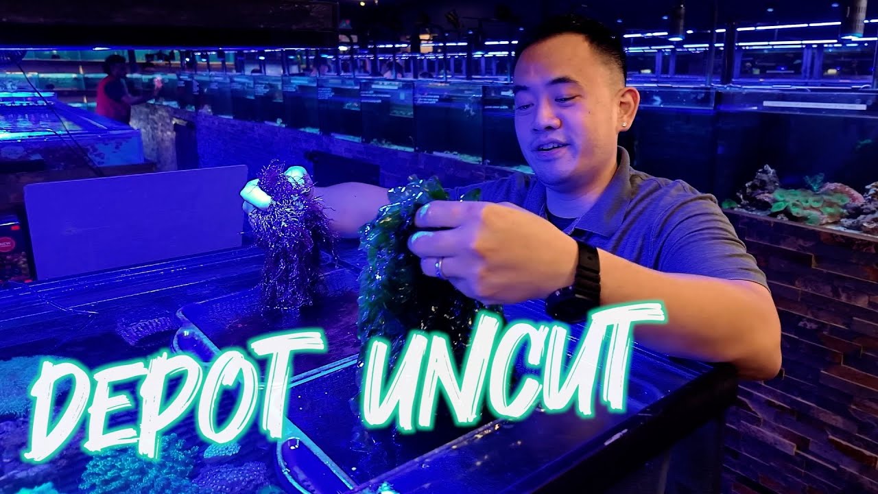 WHAT'S NEW AT AQUARIUM & REPTILE DEPOT *UNCUT* FALL EDITION | MACROALGAE NOW AVAILABLE