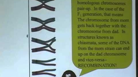 UCLA MDCUNE Bioinformatics Lecture 1 of 3 (2009-01-26)