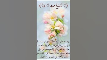 فِي جَنَّةٍ عَالِيَةٍ (10) لَّا تَسْمَعُ فِيهَا لَاغِيَةً | القارئ عبدالرحمن مسعد