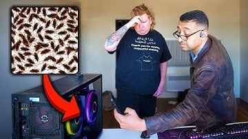 Filling My Computer With Actual Bugs and Hiring Someone to Fix it!