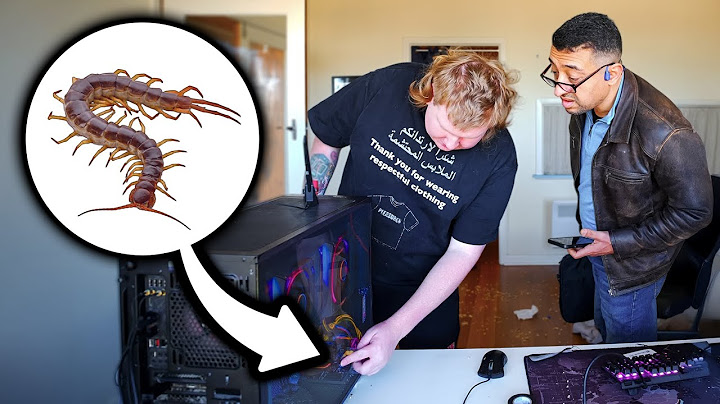 Hiring a repair man cos there's a 'bug' in my computer