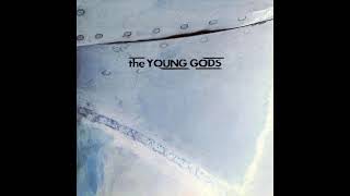 The Young Gods - She Rains (1992)