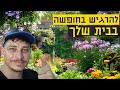 מדריך לעיצוב גינה - עיצוב גינה בבית פרטי - איך לתכנן גינה לבד