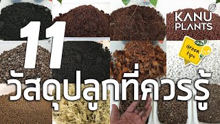 11วัสดุปลูกต้นไม้ที่ควรรู้