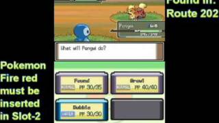 How to get Growlithe (Pokémon Platinum)