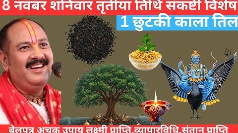🕉️ 8 नवंबर शनिवार तृतीया तिथि संकष्टी के दिन 1 छुटकी काला तिल वाला उपाय जरुर करे। Pradeep Mishra Ji.