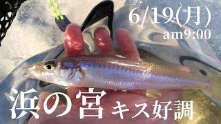 キス好調】6/19(火) 9:00 浜の宮リアルタイム情報!! 20cm級のキスも