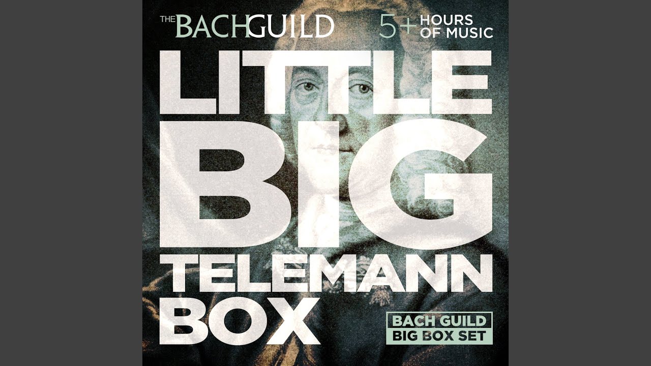 Concerto in D Minor, for Oboe, Strings and Continuo, TWV 51:d1: ii. Allegro bekijken op YouTube