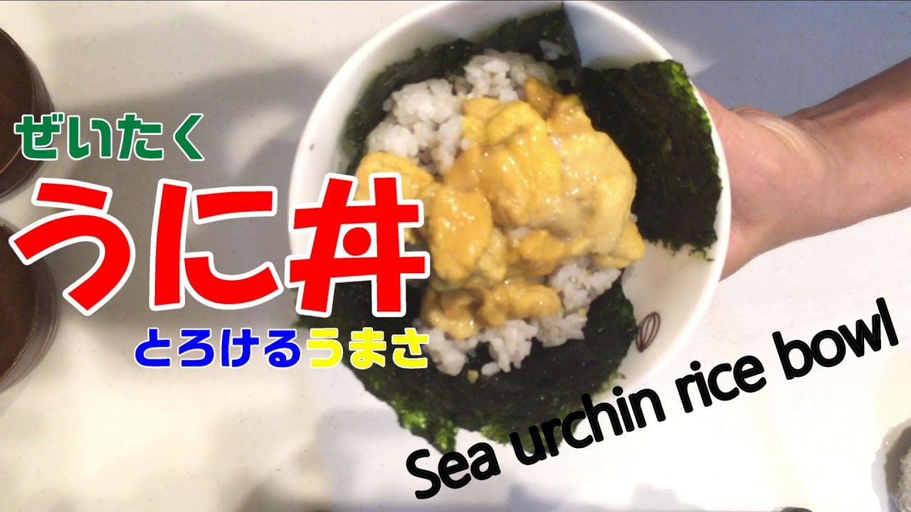 コストコ うに丼 Sea Urchin Rice Bowl 生ウニ塩水パック Youtube