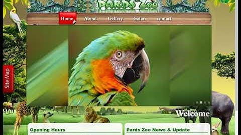 15  HTML and CSS Animated Project in Urdu  - HTML and CSS Animation Project